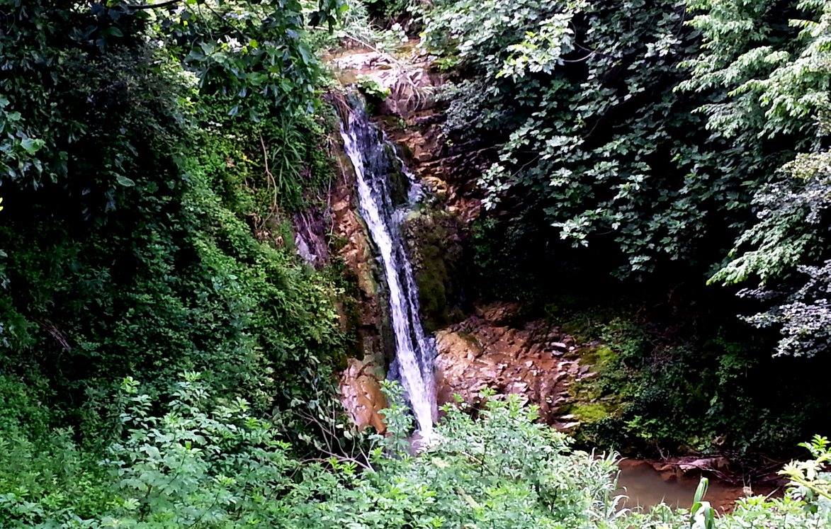 13411817 202980170095675 1057002356207687342 o