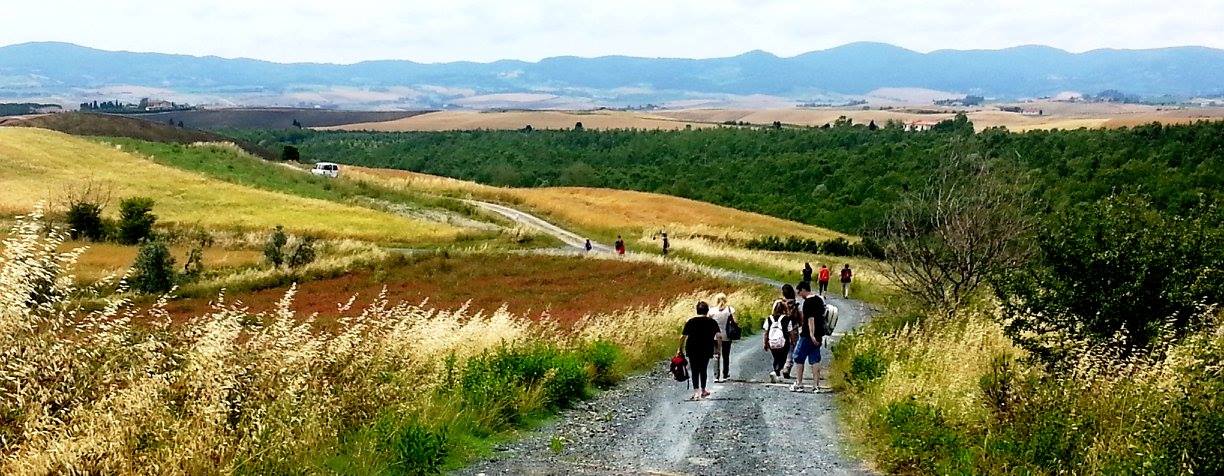 13415519 202987596761599 2041174743794892582 o