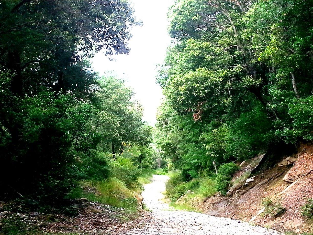 13418490 202980463428979 3758091497941507339 o