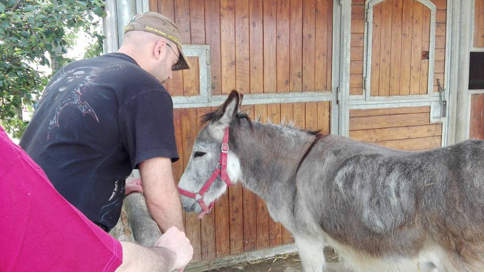 13432160 10208199994709632 5026148929666380791 n